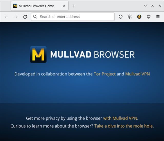 Take Your Privacy to the Next Level with the Mullvad Browser
