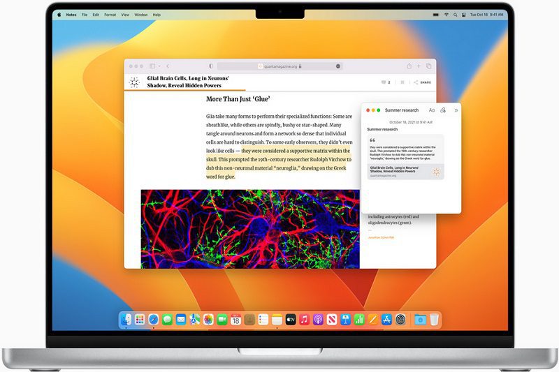 Safari 17 Beta for macOS
