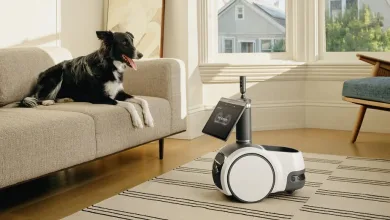 Amazon's Astro Robot Gets a Price Hike What You Need to Know