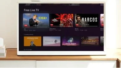 Google TV's Live Guide Offers Access to Over 800 Free TV Channels