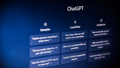 ChatGPT iPhone App Privacy Issues