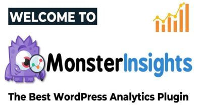 MonsterInsights Google Analytics Plugin