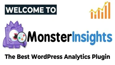 MonsterInsights Google Analytics Plugin