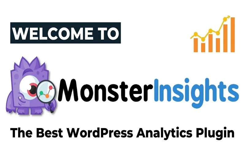 MonsterInsights Google Analytics Plugin
